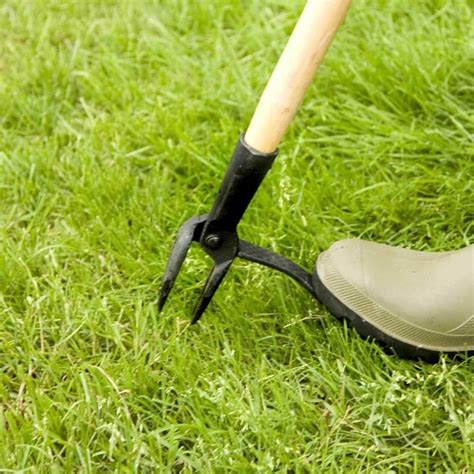 Make Yard Work Easier with these 12 Tools | The Family Handyman