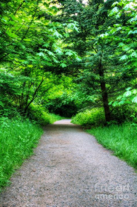 Discovery Park Loop Trail Photograph by Eddie Yerkish - Fine Art America