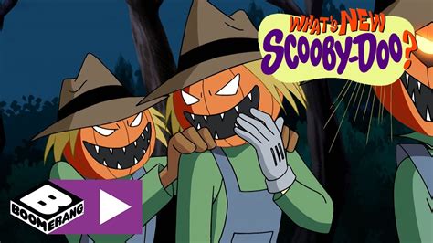 What's New, Scooby-Doo? | Happy Halloween Scarecrows! | Boomerang UK 🇬🇧 - YouTube