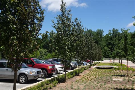 Leave it to a botanical garden to find beauty in a parking lot - The ...