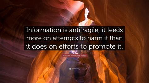 Nassim Nicholas Taleb Quote: “Information is antifragile; it feeds more on attempts to harm it ...