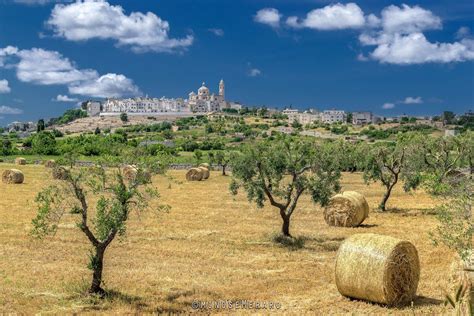 Valle d'Itria, Locorotondo. Ph Mino Semeraro. | Fotografia