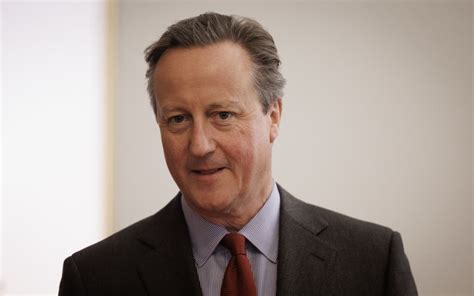 David Cameron calls for ‘sustainable ceasefire’ in Israel-Gaza conflict | Evening Standard