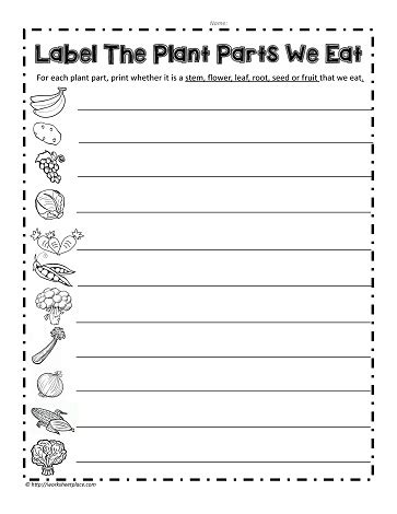 Plant Parts we Eat Worksheets