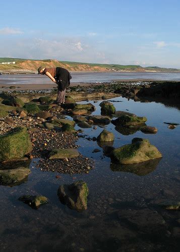 Rock Pools | We looked in the rock pools at St Bees to see w… | Flickr