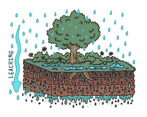 What is leaching? | National Critical Zone Observatory