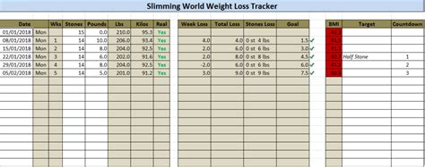 Weight Loss Tracker spreadsheet • Big Loss • My weight loss journey