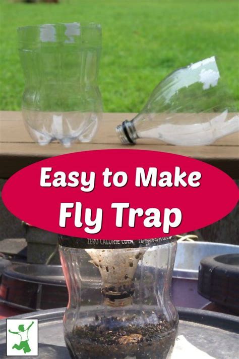 Quick and Easy Homemade Fly Trap (really works!) Healthy Home | Diy fly ...