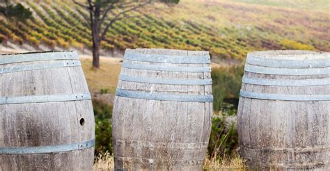 The rise of Chenin Blanc - South Africa's wine