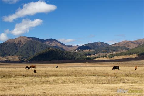 Bhutan in Photos: from Lofty Mountains to Magnificent Fortresses – Wild Junket