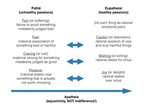 Which Best Describes the Philosophy of the Stoics - Brycen-has-Mcmillan