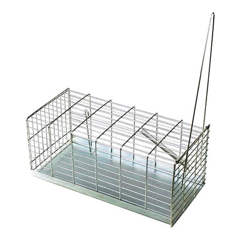 Rat Trap: Cage type 30 cm – W.A. Poultry Equipment & Coast to Coast ...