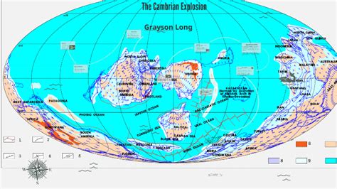 The Cambrian Explosion by Grayson Long