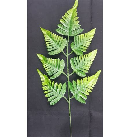 Fern Leaf (1pc) 33cmx22cm | Daun paku pakis | Shopee Malaysia