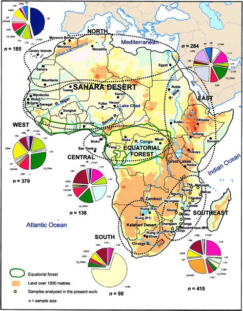 Mitochondrial DNA in Africa - Full size | Gifex