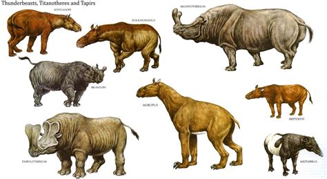 Thunder Beasts Titanotheres And Tapirs - Large Dinosaurs Wallpaper ...