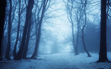 Dark Winter Forest Wallpapers - Top Free Dark Winter Forest Backgrounds - WallpaperAccess