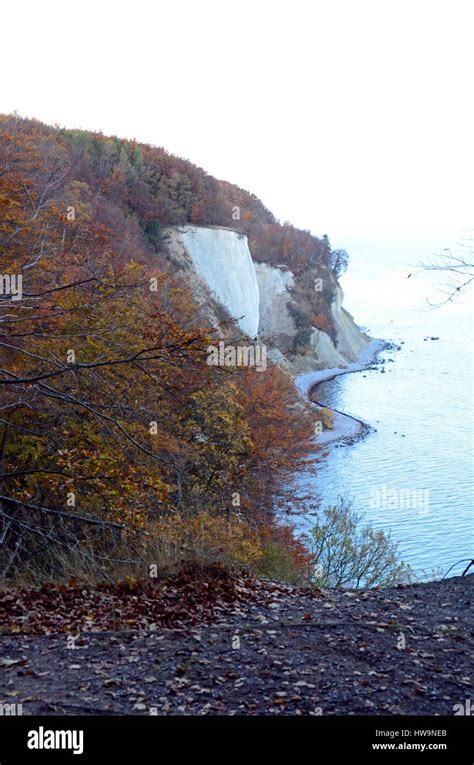 Chalk cliffs, Nationalpark Jasmund, Ruegen Island Stock Photo - Alamy