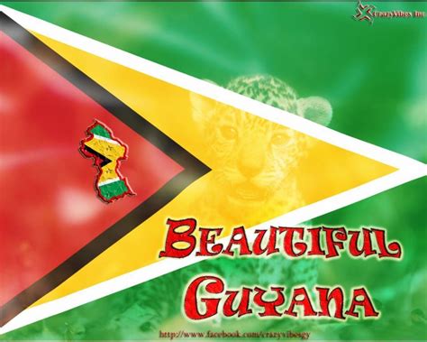 Guyana Flag Wallpapers - Wallpaper Cave