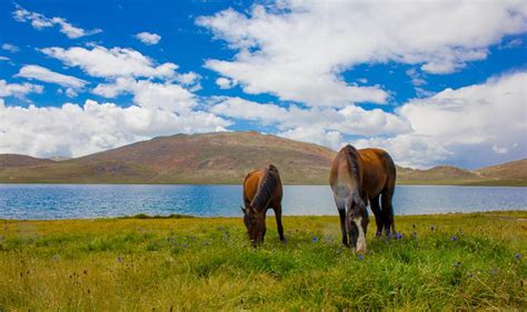 Deosai Plains : r/ExplorePakistan