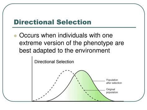 Directional Selection