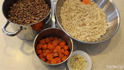 Easy Low Protein Homemade Dog Food Recipe (Step-by-Step Video)