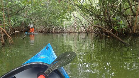 Paddle Thousand Islands | Cocoa Beach kayaking – Florida Hikes