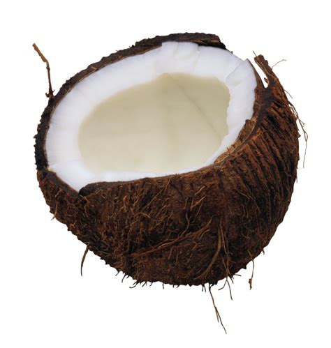 Coconut PNG Transparent Images