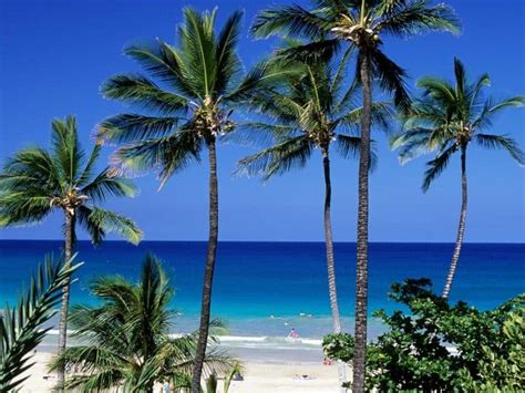 The 15 Best Big Island Beaches in Hawaii