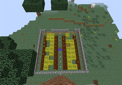 Is there a more efficient melon farm design? : Minecraft