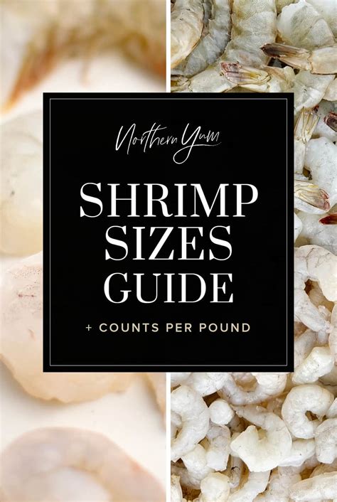 Shrimp Sizes and Counts per Pound (w/Shrimp Size Chart!)