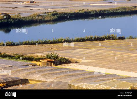 Albufera de Adra, Adra. Almeria province, Andalucia, Spain Stock Photo ...