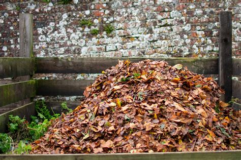 Making a Quick Compost Using Autumn Leaves - Southeast AgNET