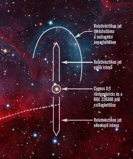 The Tulip and Cygnus X-1