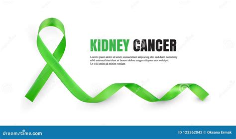 Green Kidney Cancer Awareness Symbolic Ribbon Stock Vector - Illustration of modern, aging ...