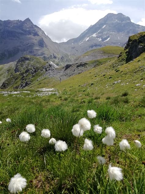 La Tarantaise, a beautiful valley in the French Alps, Savoie, FRANCE ...