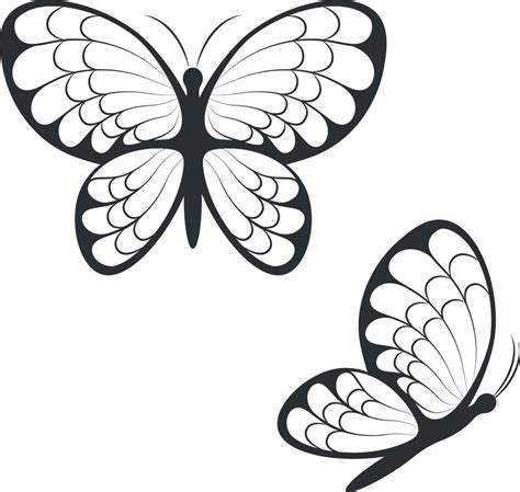 Silhouette of butterflies. Image of beautiful butterflies top and side ...