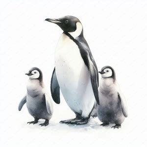 Penguin Family Clipart Clipart Bundle 10 Adorable Designs Wildlife Art ...