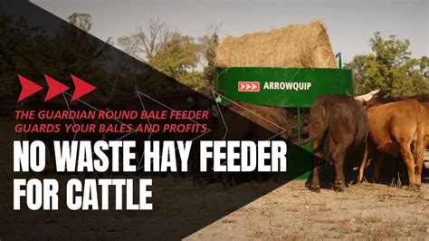 Guardian Round Bale Feeder Cattle | Hay Bale Feeder | Arrowquip - YouTube