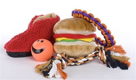 Best Senior Dog Toys - Fun for Your Old Dog