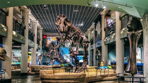 Best Natural History Museums in the US Worth Visiting | TouristSecrets