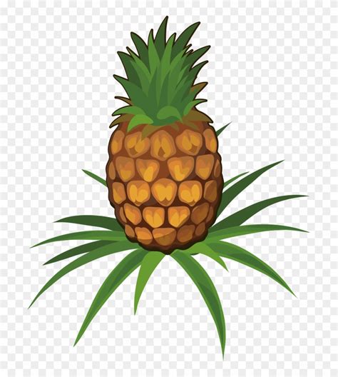 Download Clipart Pineapple Cartoon - Pineapple Plant Cartoon Png Transparent Png (#328456 ...