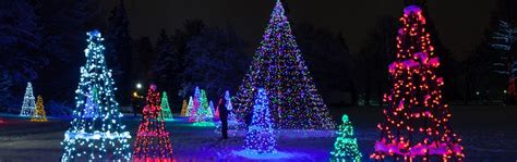 niagra falls winter festival | Winter light festival, Festival lights ...