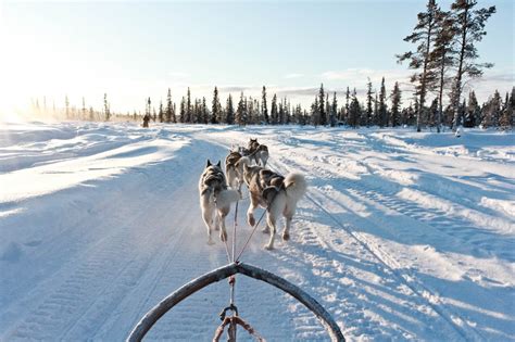 10 Reasons to Take a Winter Break in Kiruna, Sweden