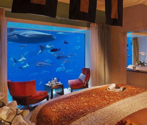 Underwater Suites @ Atlantis, Dubai | Underwater hotel, Underwater hotel room, Dubai hotel