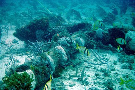 Underwater Archaeology - CSMonitor.com