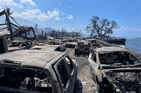 Maui wildfire deaths surge to 53 and likely to go higher, governor says ...