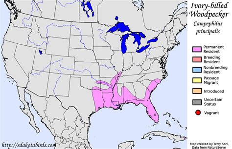 Ivory-billed Woodpecker - Species Range Map