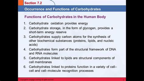 3B 7.2 Occurrence and Functions of Carbohydrates - YouTube