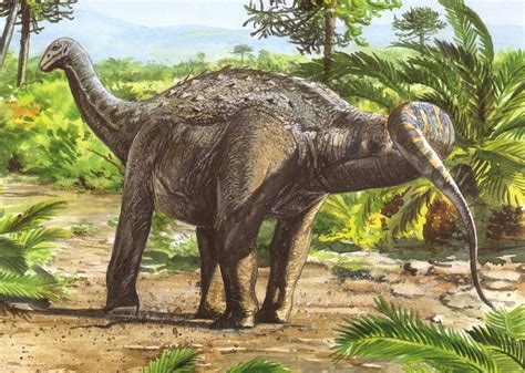 Saltasaurus Facts, Habitat, Diet, Fossils, Pictures